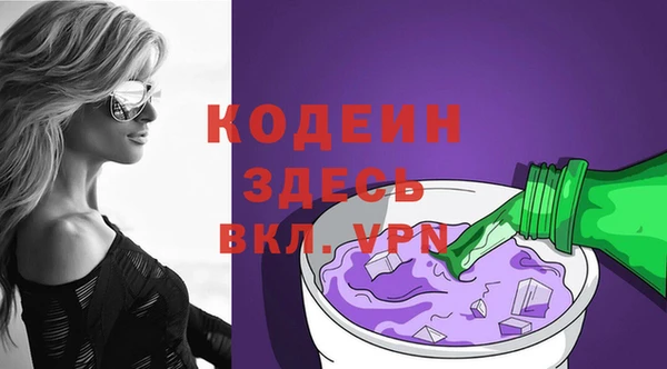 гашик Новодвинск