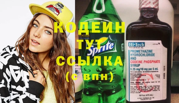 гашик Новодвинск