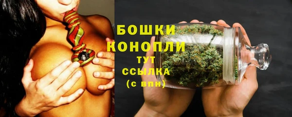 ALPHA PVP Новозыбков