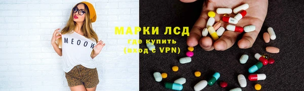 гашик Новодвинск