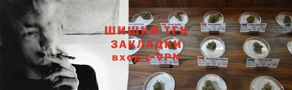 гашик Новодвинск