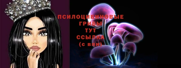 гашик Новодвинск