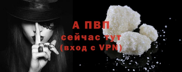 гашик Новодвинск