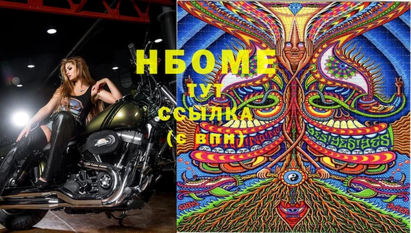 ALPHA PVP Новозыбков