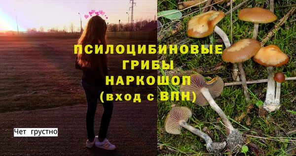 альфа пвп Новокубанск