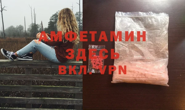 гашик Новодвинск