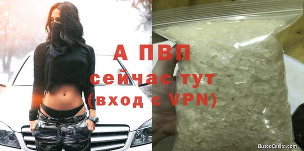 ALPHA PVP Новозыбков