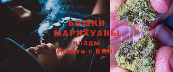 гашик Новодвинск