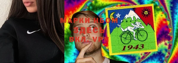 гашик Новодвинск